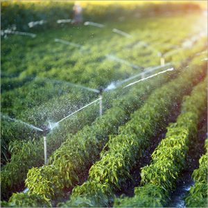 agricultural
