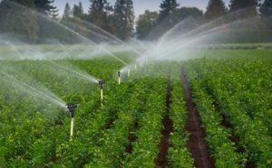 agriculture UPVC pipes