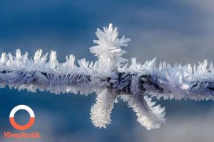 یخ زدایی لوله